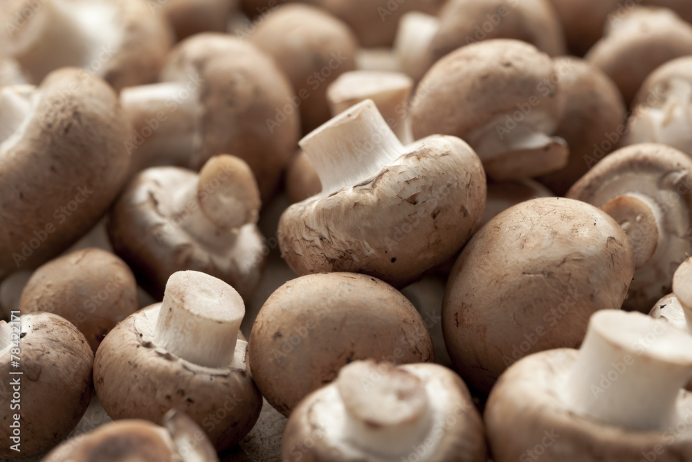 Fresh chestnut mushrooms