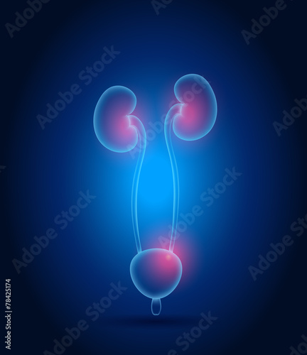 Kidneys abstract design. Bright blue background and red lights.