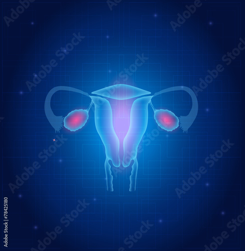 Uterus and ovaries anatomy blue background