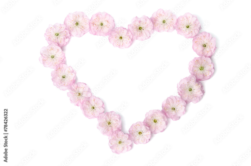 pink flowers in  shape of heart on white background