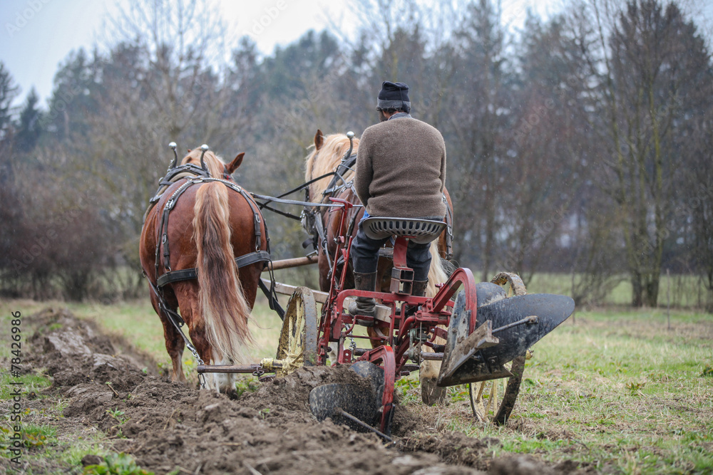 Obraz premium Gespann Mit Pflug