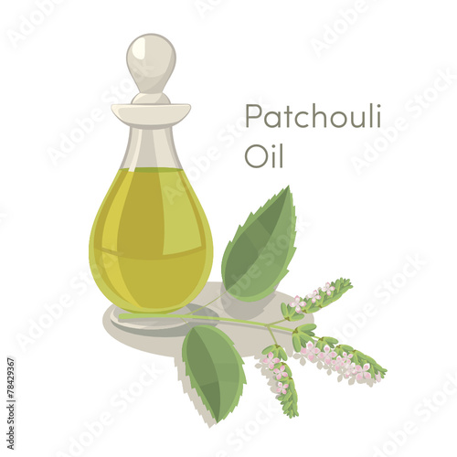 Patchouli oil illustration