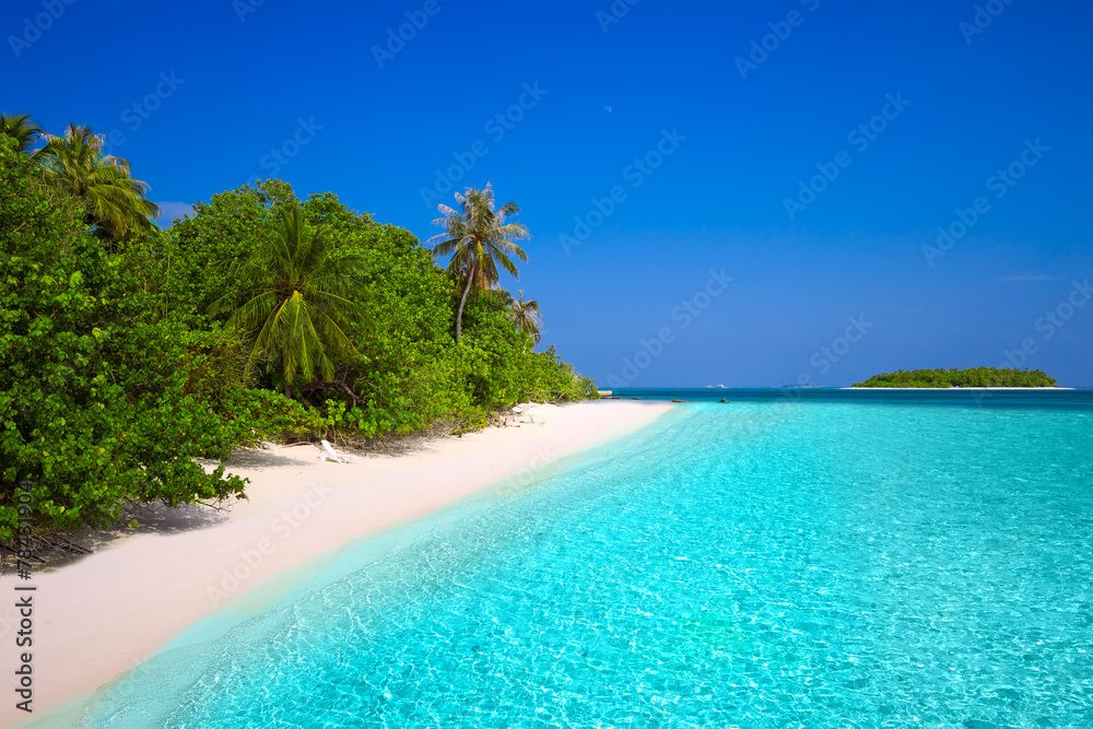 Tropical island with sandy beach and palm trees