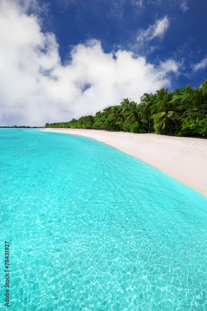 Fototapeta premium Tropical island with sandy beach and palm trees