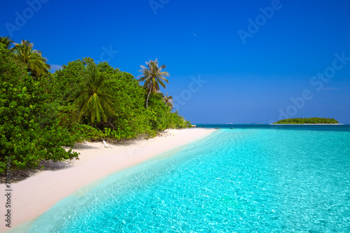 Fototapeta Naklejka Na Ścianę i Meble -  Tropical island with sandy beach and palm trees