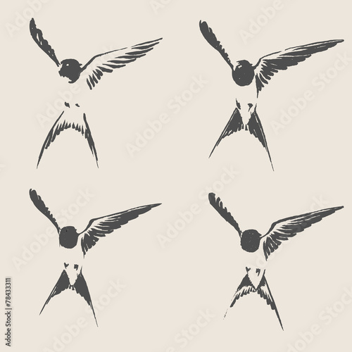 Hand drawn swallow vector illustration.