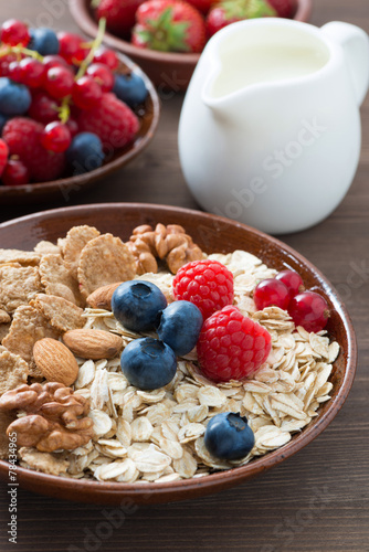 oatmeal and muesli in a bowl, fresh berries and milk