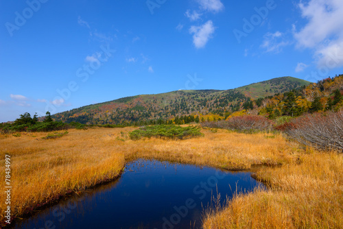 Autumn foliage at the Kenashitai Marsh in Mt.Hakkoda, Aomori, Ja