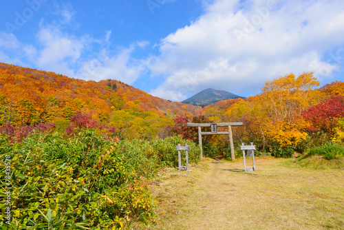 Autumn foliage near the Sukayu Hot Spring in Mt.Hakkoda, Aomori, photo