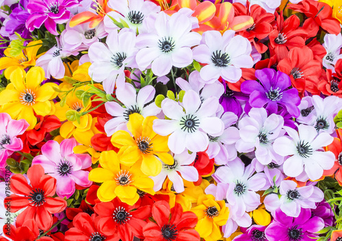 colorful flowers