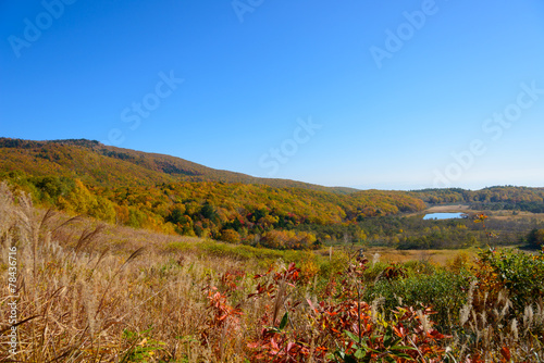 Mt.Hachimantai in autumn  in Iwate and Akita  Japan