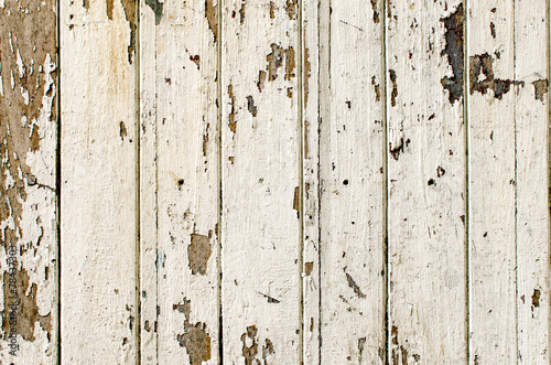 Old wood panels. Texture and Background