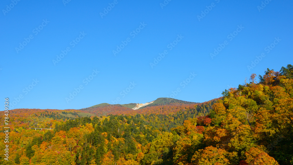 Mt.Hachimantai in autumn, in Iwate and Akita, Japan Mt.Hachimantai in autumn, in Iwate and Akita, Japan