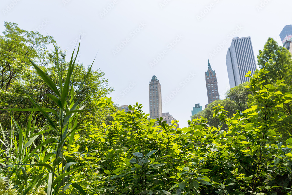 Fototapeta premium Central Park Manhattan New York US