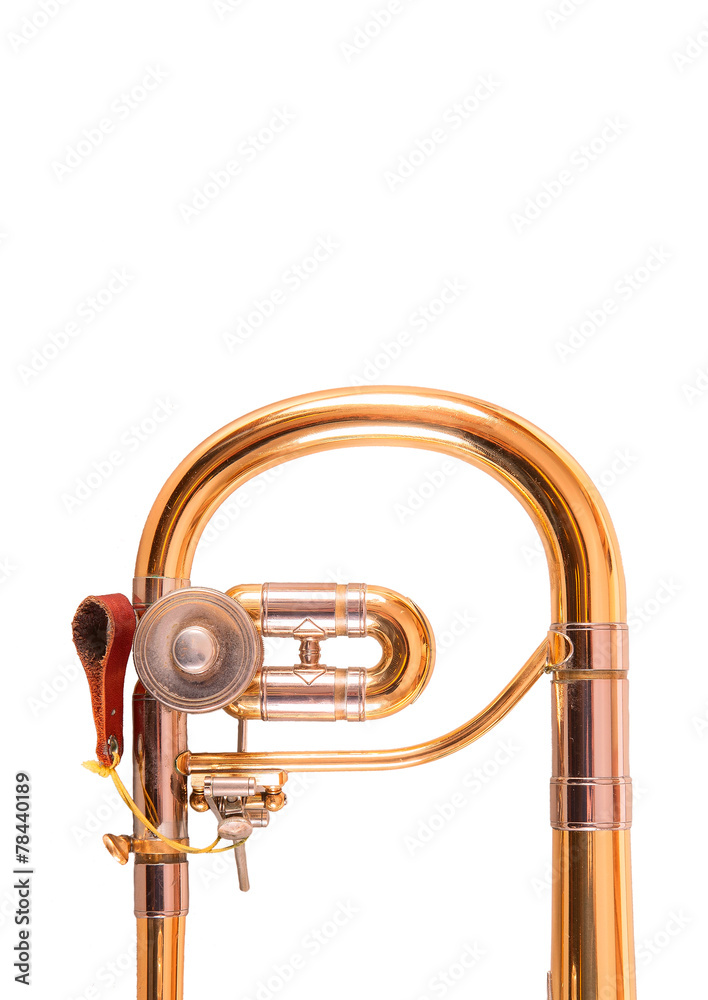 Fototapeta premium Trombone alto