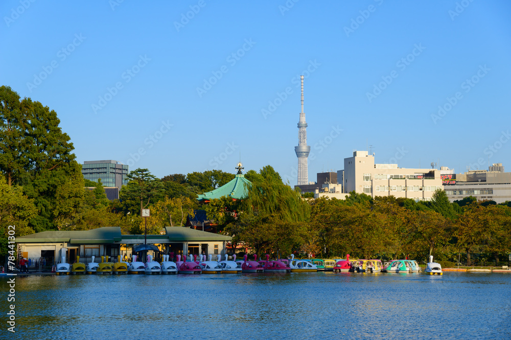 Naklejka premium Shinobazu Pond of the Ueno Park and the Tokyo Skytree in Tokyo, 