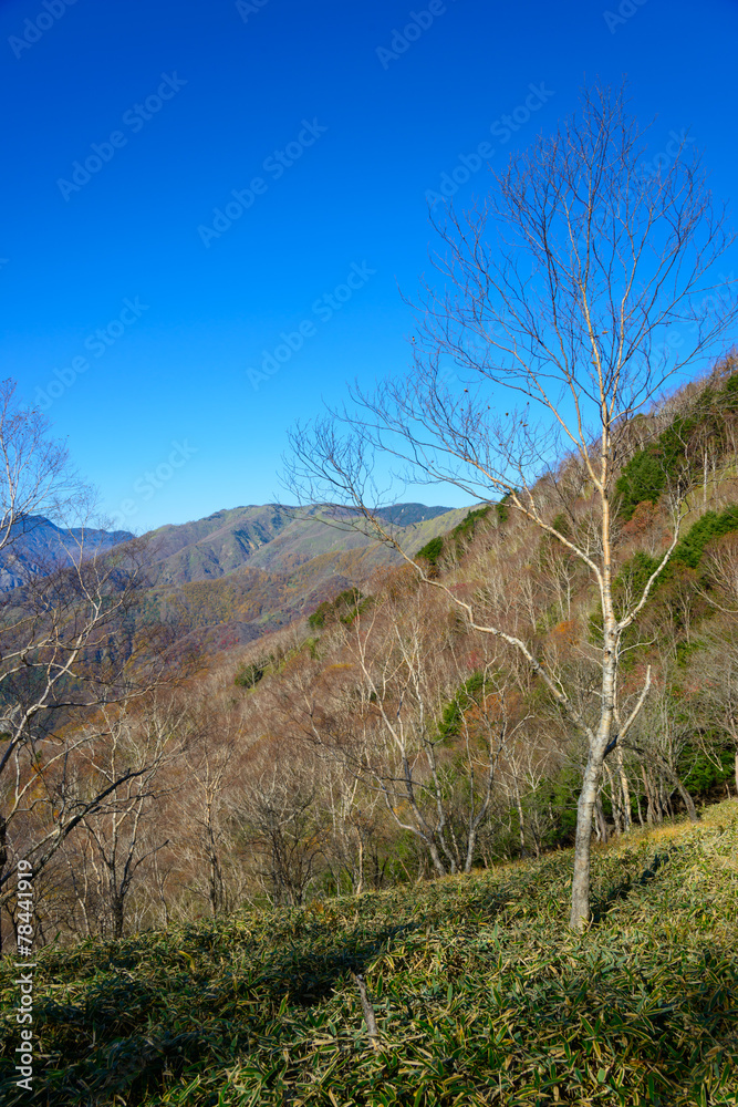 Ashio copper mine in Autumn, in Oku-nikko, Tochigi, Japan Ashio copper mine in Autumn, in Oku-nikko, Tochigi, Japan