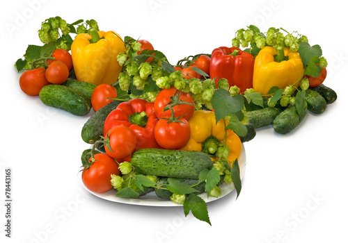 vegetables on the plate on white background