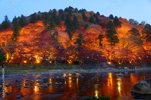 Autumn foliage in Korankei, Aichi, Japan