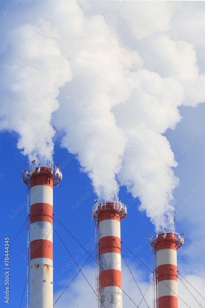 Dense smoke from boiler room pipes Dense smoke from boiler room pipes