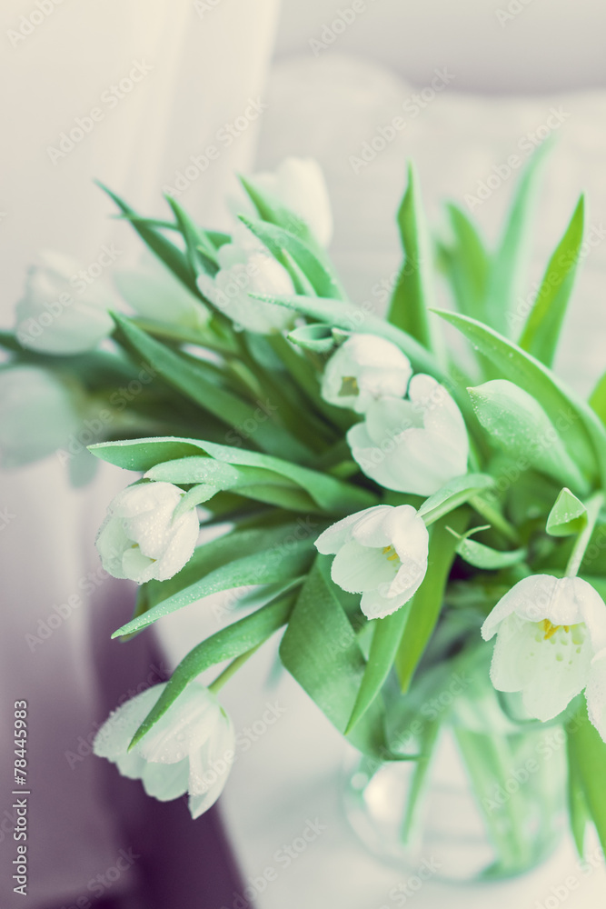 White tulips