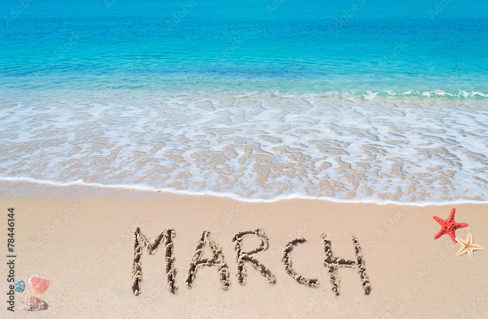 Fototapeta premium march on a tropical beach