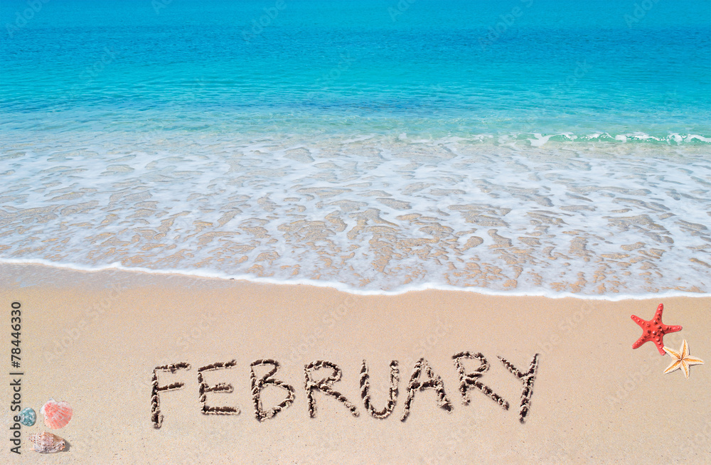 Fototapeta premium february on a tropical beach