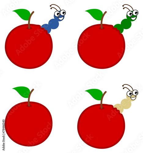 several maggot emerging from an apple or cherry