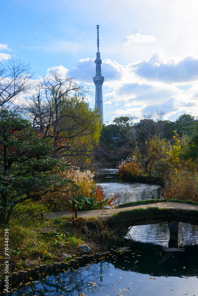 Obraz premium Tokyo Skytree and Mukojima-Hyakkaen Garden in autumn