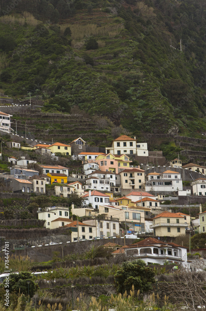 Fototapeta premium Madera