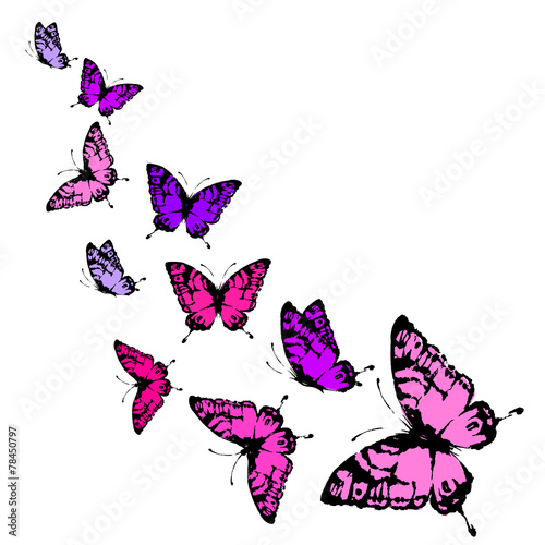 Wallpaper Mural butterflies design Torontodigital.ca
