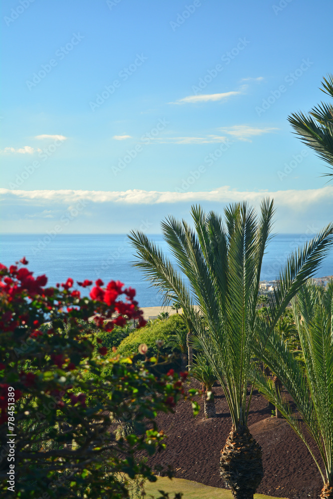 Tropical garden in southern Tenerife with sea view