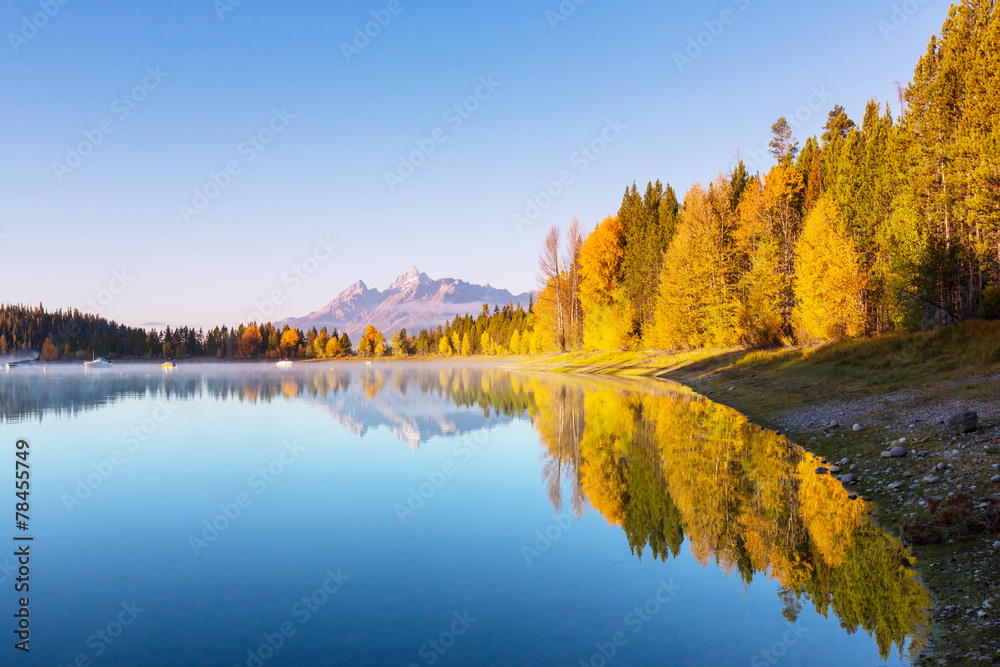 Fototapeta premium Autumn in Grand Teton