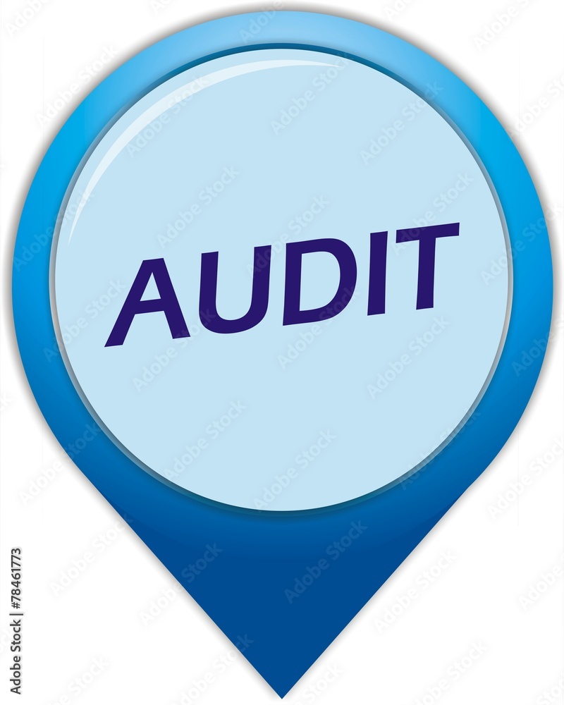 bouton audit bouton audit