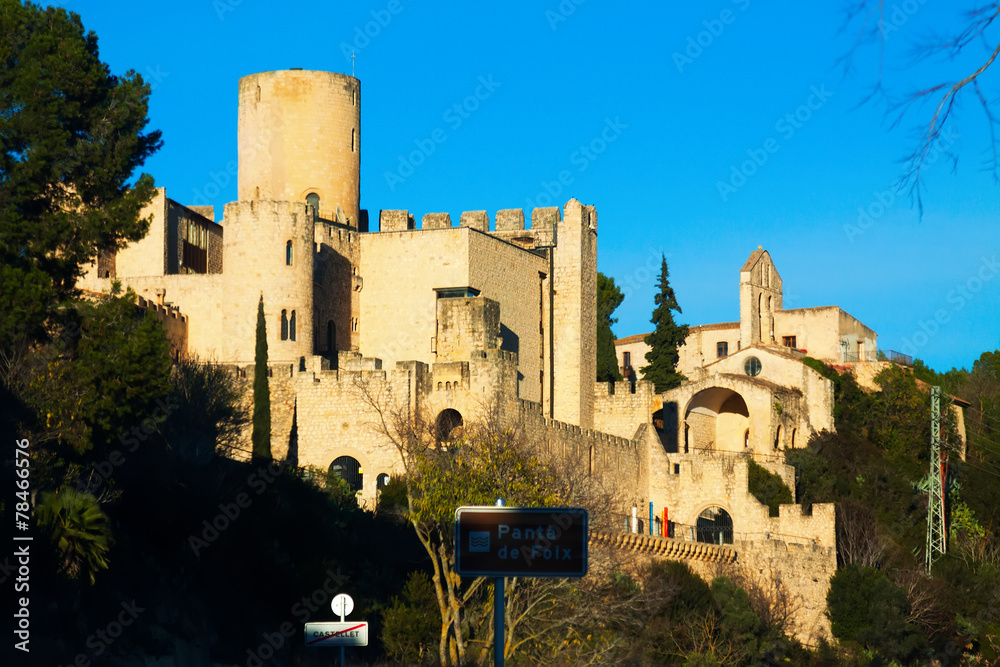 View of Castle of Castellet
