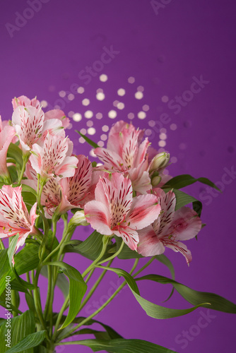 Bouquet of flowers alstroemeria