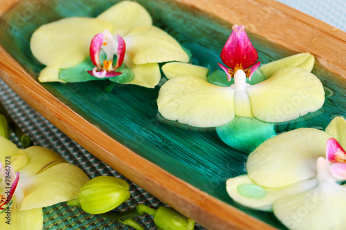 Fototapeta Naklejka Na Ścianę i Meble -  Beautiful orchid flowers in water close-up