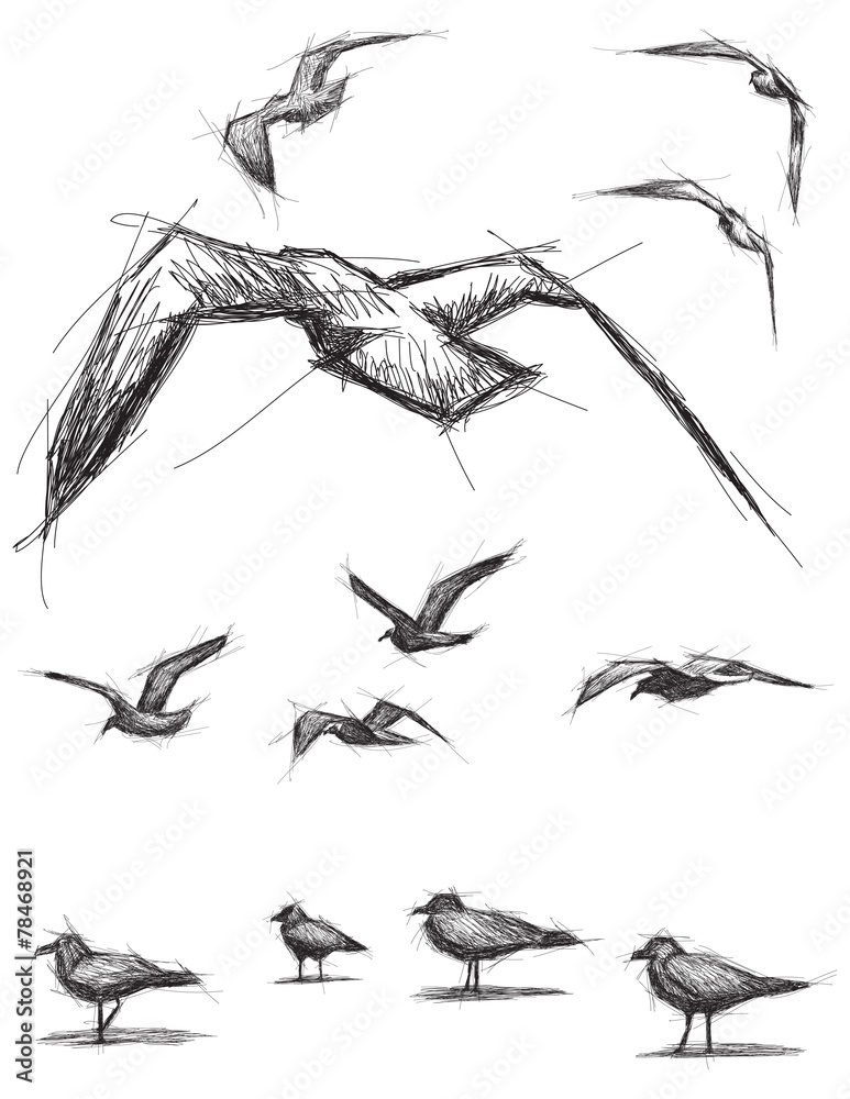 Naklejka premium Sketchy birds