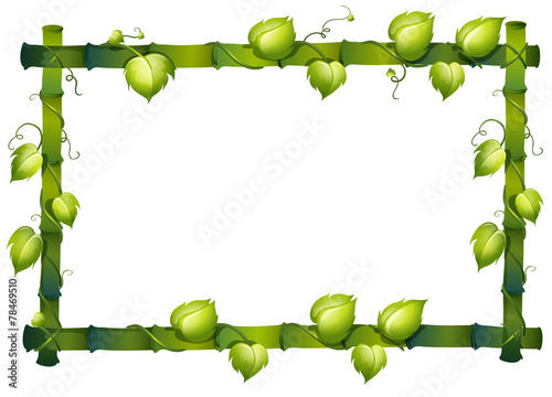 Bamboo frame