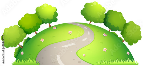 Road and nature