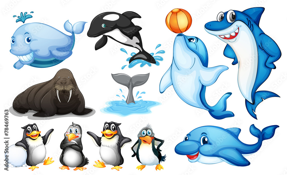 Obraz premium Sea creatures