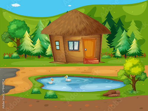Cabin