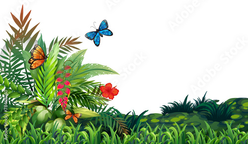 Butterflies and garden