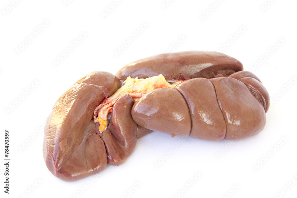 Raw beef kidney on a white background