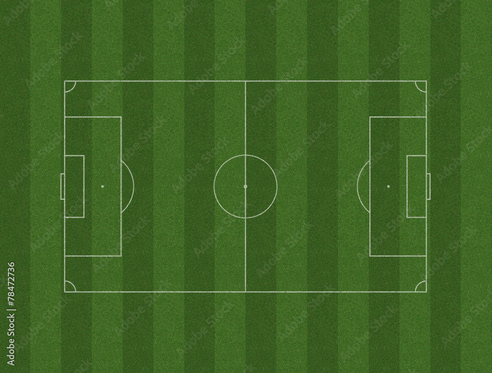 Fototapeta premium Soccer Pitch And Field