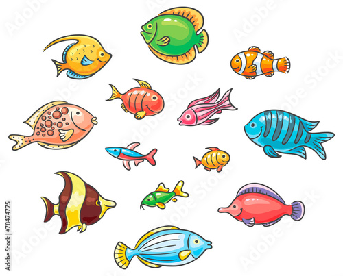 Tropical fishes