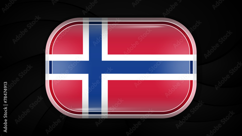 Obraz premium Norway. Vector Flag Button Series