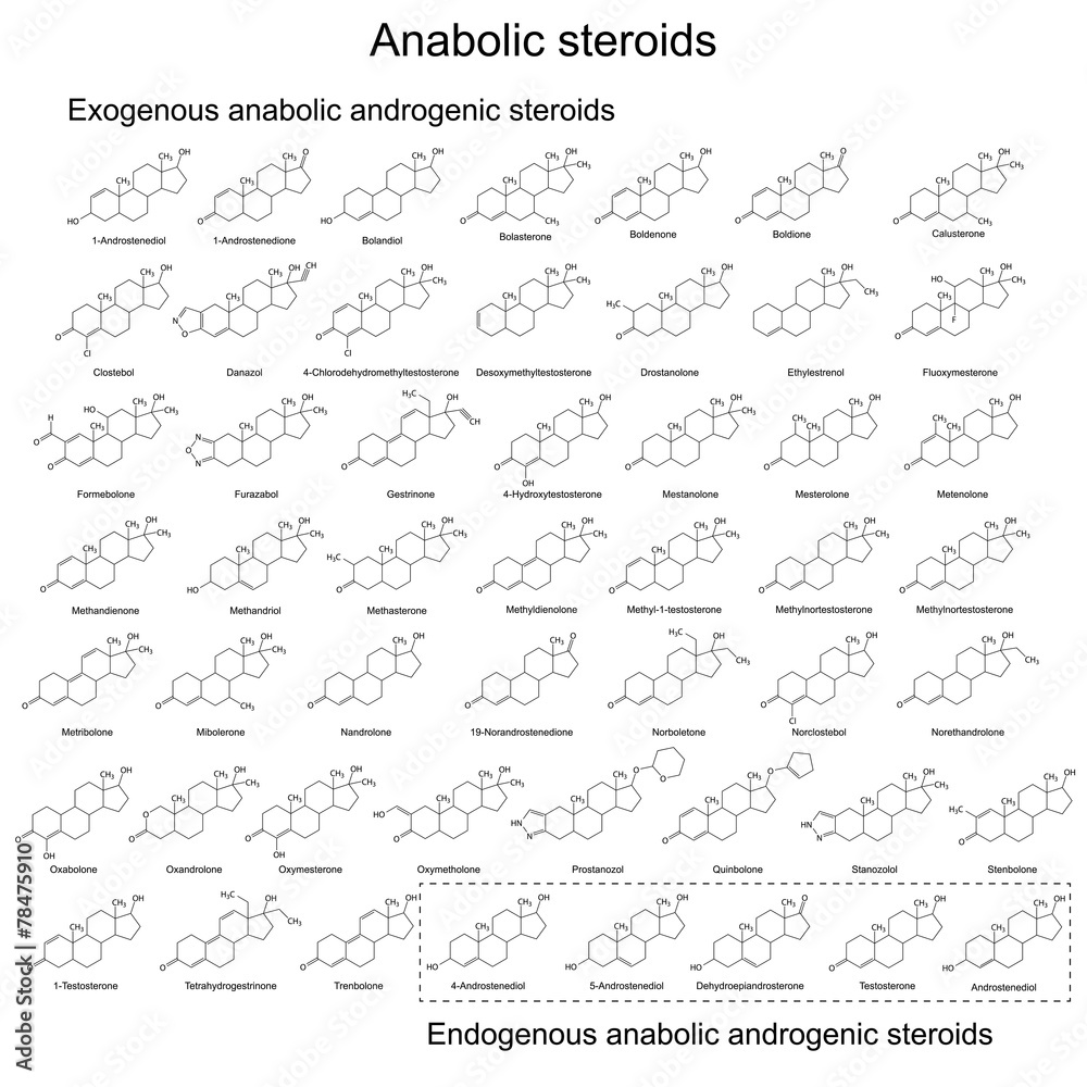 Structural formulas of anabolic androgenic steriods