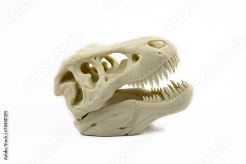 Fototapeta Naklejka Na Ścianę i Meble -  3D Printed Model Of A Dinosaur Skull