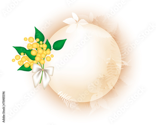 8 march frame with mimosa